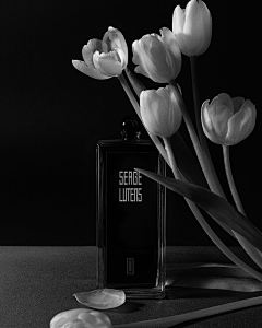 如歌_采集到品牌__Serge Lutens