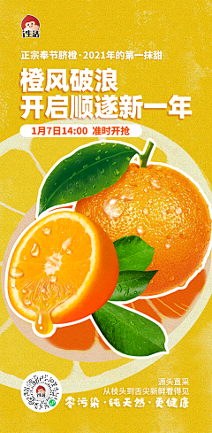 我是小Kiss采集到海报