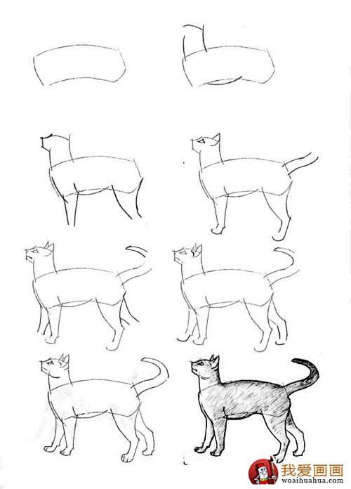 猫 侧面的搜索结果_百度图片搜索