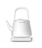 T5 Electric Kettle