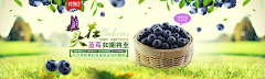 aJ3YkTKy采集到海报