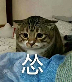 Maybe柒仟采集到古怪