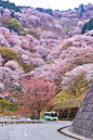 Yoshino, Nara,Japan