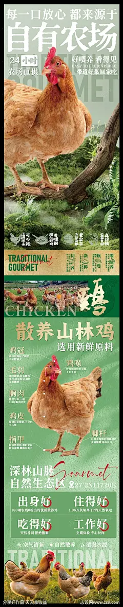 赣南美食散养土鸡海报-源文件下载-志·设˰网