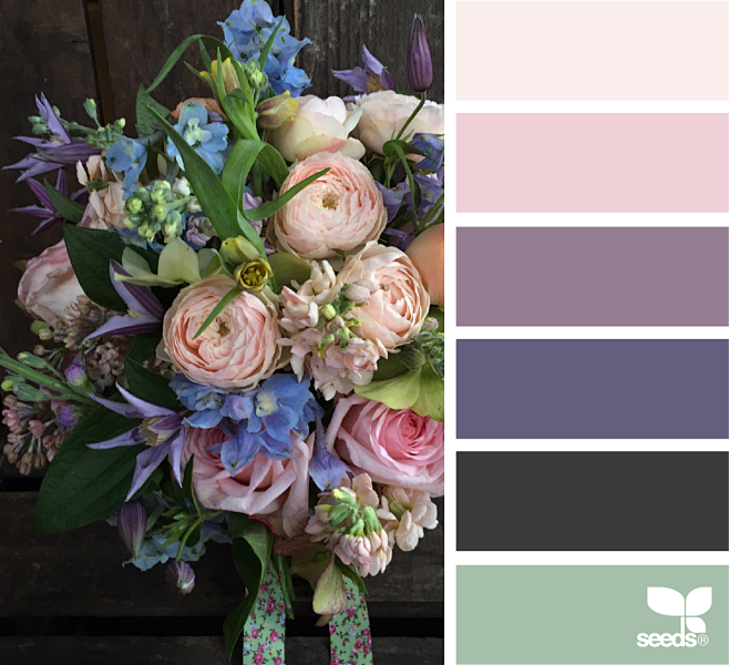 Flora Archives | Pag...