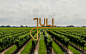 Juli : Juli is a brand specializing in fine wines, named after the company's owner's second daughter, a young little princess. Delicate and youth are communicated by the flow and originality in the handmade type, created for the wordmark.Côtes du Rhône is