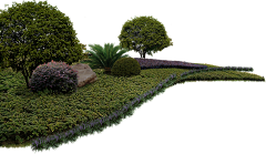 XIDWORK采集到植物