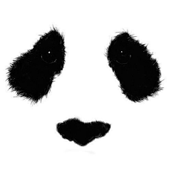 PandaFin采集到panda