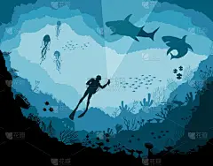 潜水员和鲨鱼, 礁水下野生动物