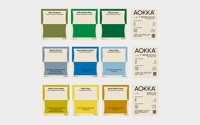 AOKKA VISUAL IDENTIT...