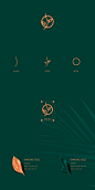 Seivalo Brand Design : Brand Design for Seivalo Cosmetics .