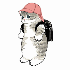 Kasin-采集到猫