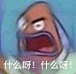 主打一个精神异常奇形怪状