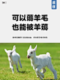 产品广告语的尽头是简练 - 小红书