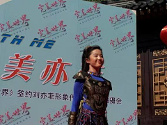小灰灰之采集到刘亦菲