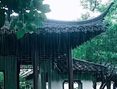 一舟之语采集到雨思
