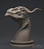 Ssathraz dragon bust, Winton Afric : This is one of the more recent Dragon Busts I did. I am very happy with the expression of the character.  This figure is going to be produced as an 11 cm resin kit. The horns will be separate from the head so there is 