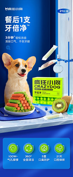 菩提花叶采集到宠物用品