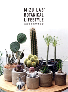 Gooshrine采集到植物