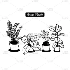 室内植物,动物手,锅,可爱的,贺卡,花盆,泰国,春天,装饰物,铅笔画