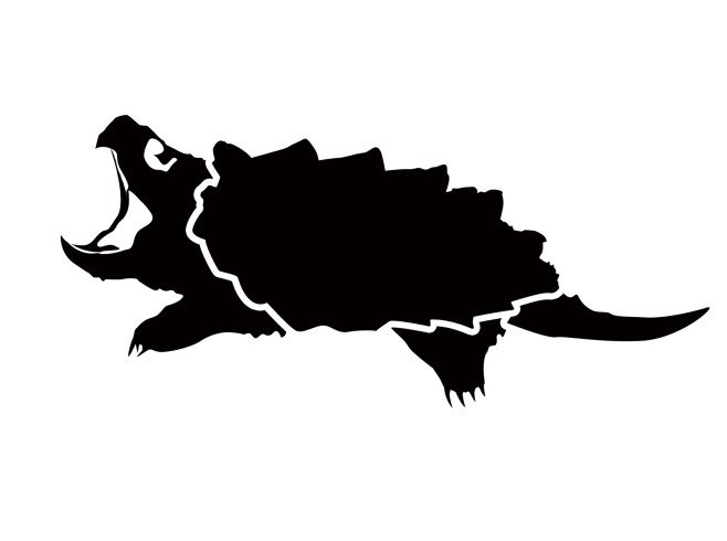 鳄龟png