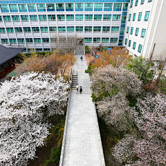 小豆菌采集到韩国东国大学