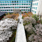Photo by 동국대학교 서울캠퍼스 공식 인스타그램 on April 01, 2021.