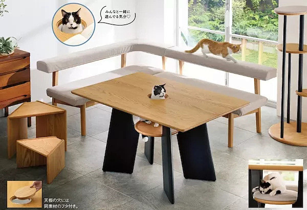 这张桌子证明猫咪才是一家之主 | TOP...