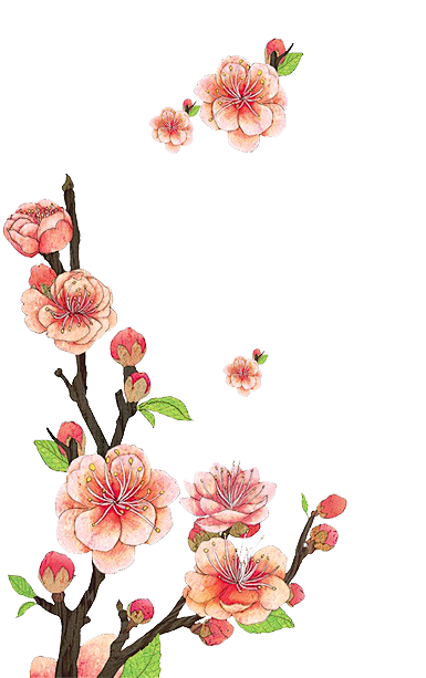 春天桃花素材 手绘插画元素 桃花植物PN...