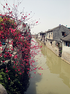 讨厌后羿采集到旅行