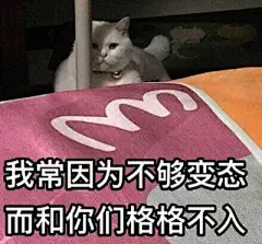 搞笑表情包，戏精猫