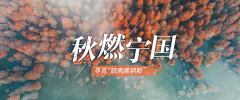 DIIV采集到banner