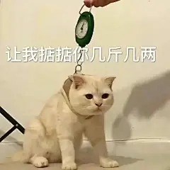(5 封私信 / 5 条消息) 表情包 - 搜索结果 - 知乎