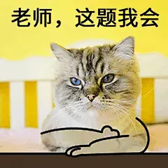 上课学生交友考试做题举手猫咪宠物GIF动图表情包