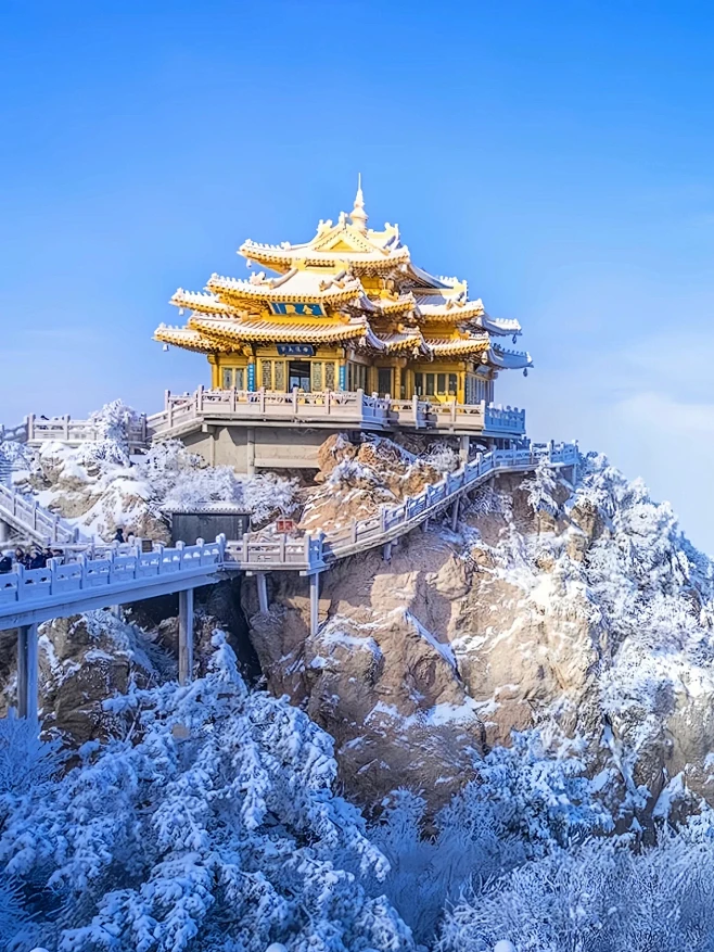 今年冬天总要去一趟老君山吧