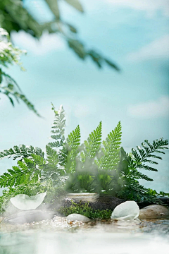 鹿眸*采集到植物背景