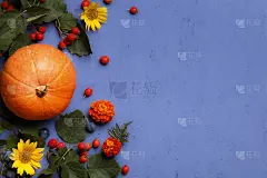 秋天的贺卡。由南瓜、浆果、花和叶子组成的紫色背景画。感恩节万圣节平铺拷贝空间。