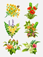 手绘矢量鲜花植物设计元素
