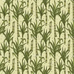 甘蔗,四方连续纹样,叶子,矢量,背景,动物手,茎,永远,植物群,绘制