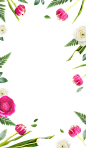 春季春天鲜花花朵免抠_PNG：