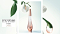 图片：Pure Nectar, L'Eau D'Issey se révèle sous un nouveau jour - les ... : 在 Google 上搜索到的图片（来源：beaute-addict.com）