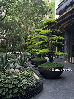 西去而旋转的飞鸟采集到景观雕塑