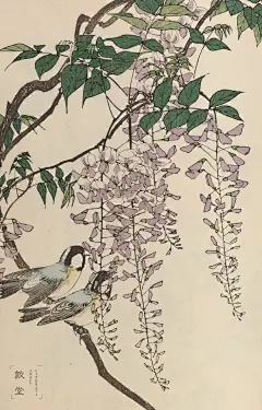 资料公开——一本被民国大家秘不示人的写生花鸟宝典