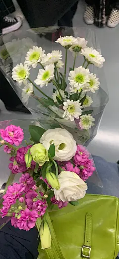 花 手机壁纸 背景图