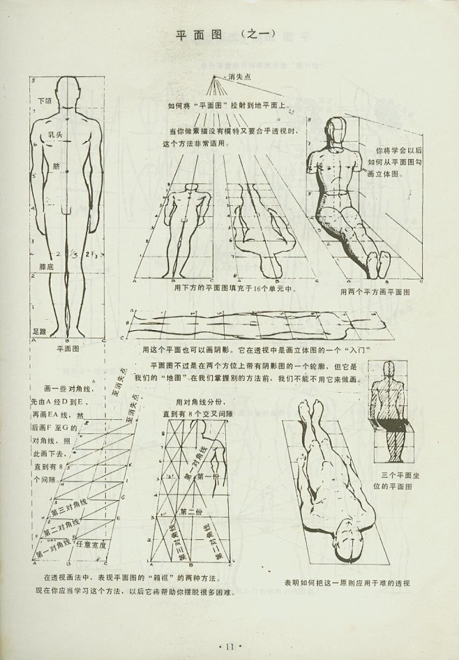 人体透视法则~~~