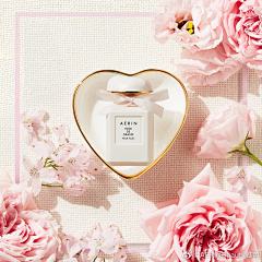 夏猫旅人采集到Estee Lauder | 雅诗兰黛