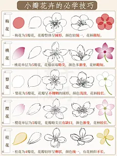 国画入门｜小瓣花卉的必学技巧干活‼️