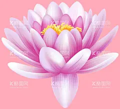 莲花  - 源文件下载【酷图网】莲花,花,白莲花,免扣,清洁,荷花,花朵,花素材,
