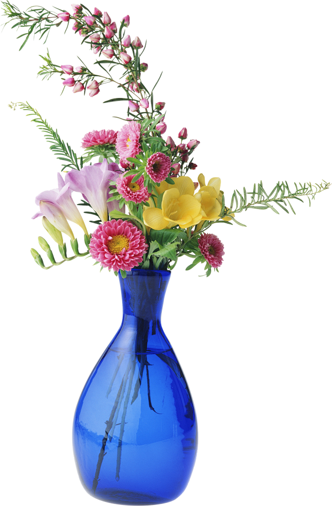 花瓶PNG