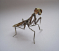 芝加哥艺术家 Justin Gershenson-Gates 最新机械昆虫创作终极整理！来自于芝加哥的珠宝商 Justin Gershenson-Gates，在拆卸一些手表零部件的时候，他突发奇想的萌发了一个新的创意，就是用这些手表的零部件去做成蜘蛛或其他昆虫的腿或其他的某个部分，于是上面的这些精致的节肢动物和昆虫的机械雕塑就应运而生了。Justin 制作每一件雕塑一般都要花上几个小时，使用的材料除了弹簧，齿轮，表带，指针等手表零部件之外，还会包括一些废弃的灯泡，他会把它们装配并焊接在一起，最终制作成一个